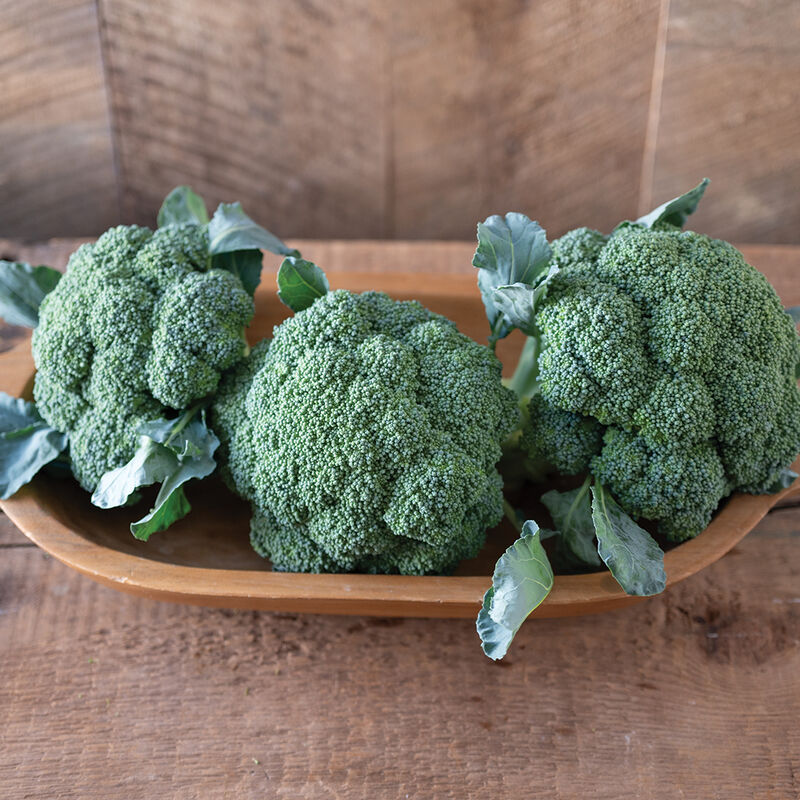 Emerald Crown Broccoli