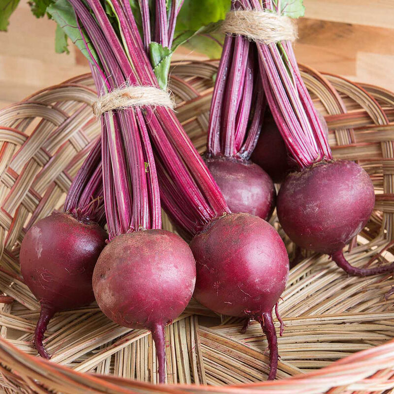 Boro Beet